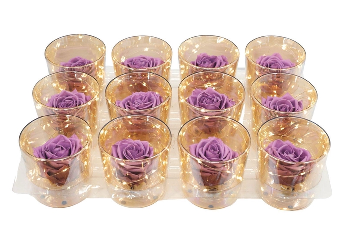 <h4>ARR ROSA POT H%</h4>