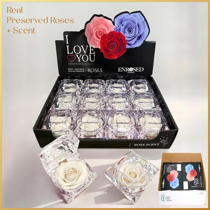 <h4>HUIS EN TUINDECO H%</h4>