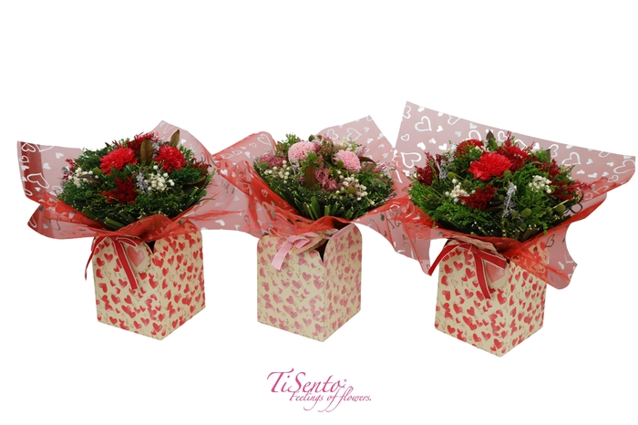 <h4>DROOGBL BEWERKT H%</h4>