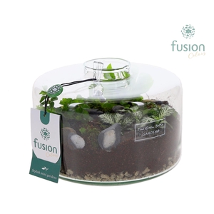 Green Bottle Kyra Medium met arrangement