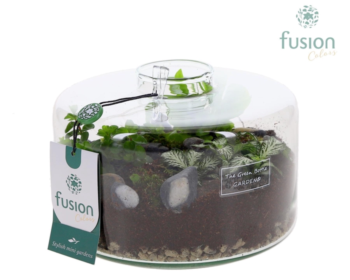 <h4>Green Bottle Kyra Medium met arrangement</h4>