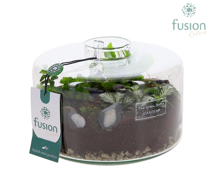 <h4>Green Bottle Kyra Medium met arrangement</h4>