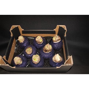 Amaryllis Topl Paars