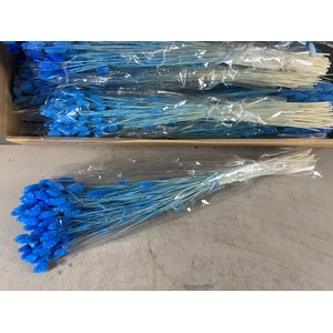 DF Phalaris Bs Light Blue 100g