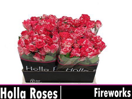 <h4>R Tr Fireworks</h4>