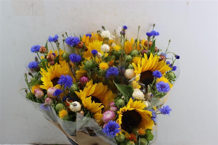 <h4>Bouquet Sunflower Mult 55cmi</h4>
