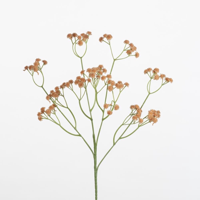 <h4>AF Gypsophila spr L62cm orange</h4>