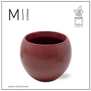 Karma - SOLO POTS - Lisa Purple 12 cm|