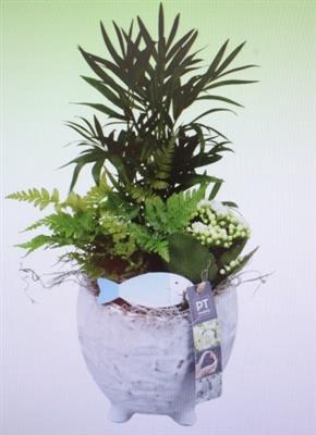 <h4>8039 KER GREY POOTJE CHAM</h4>