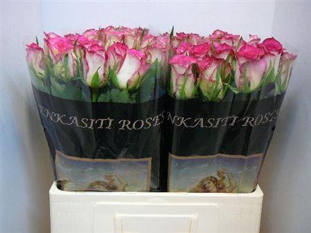 <h4>R Gr Double Date!</h4>