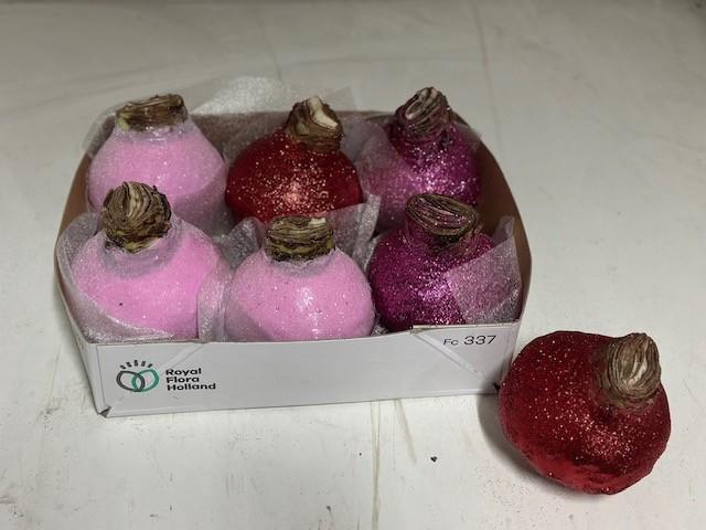 <h4>BLOEMBOL HIPPEASTRUM</h4>