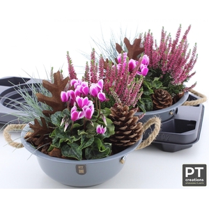 ARR TUINPLANTEN