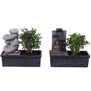 Bonsai Mixed Ball in ø22cm Waterfall