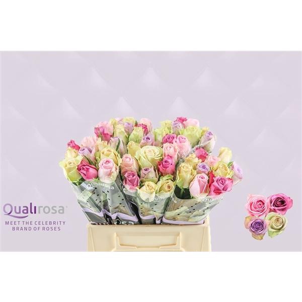 <h4>R Gr Mix Sweet Love</h4>