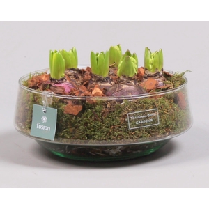 Green Bottle Iris Large met Hyacinten