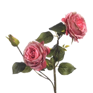 AF Rosa x3 L61cm Pink