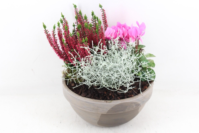 <h4>arr4 Outdoor PL - Ker. basalt schaal x2</h4>