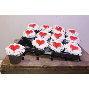 arr8 Nert Gr Valentijn Decor