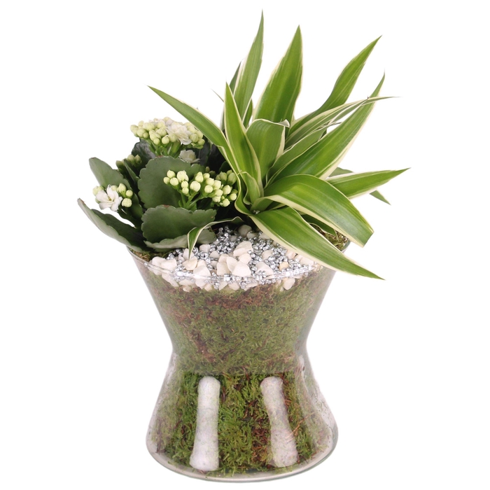 <h4>Yearround GLASS: HOURGLASS Ø16CM WITH 2PP</h4>