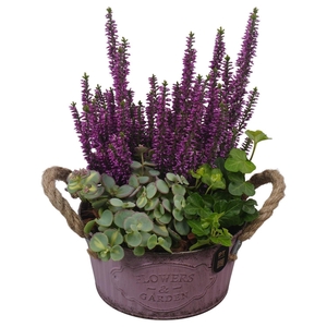 Arr.   Tuinplanten L%