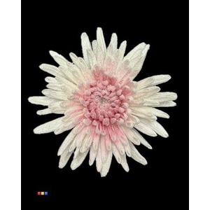 Chr G Marshmallow Cerise