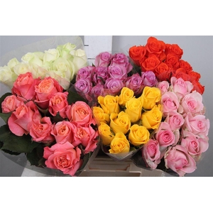 R Gr Gemengd In Fust B1