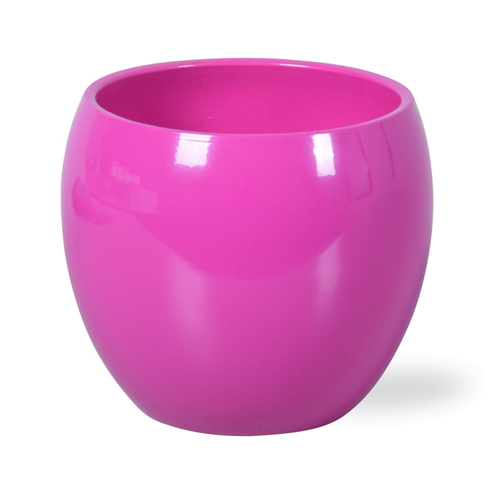 <h4>HUIS EN TUINDECO H%</h4>