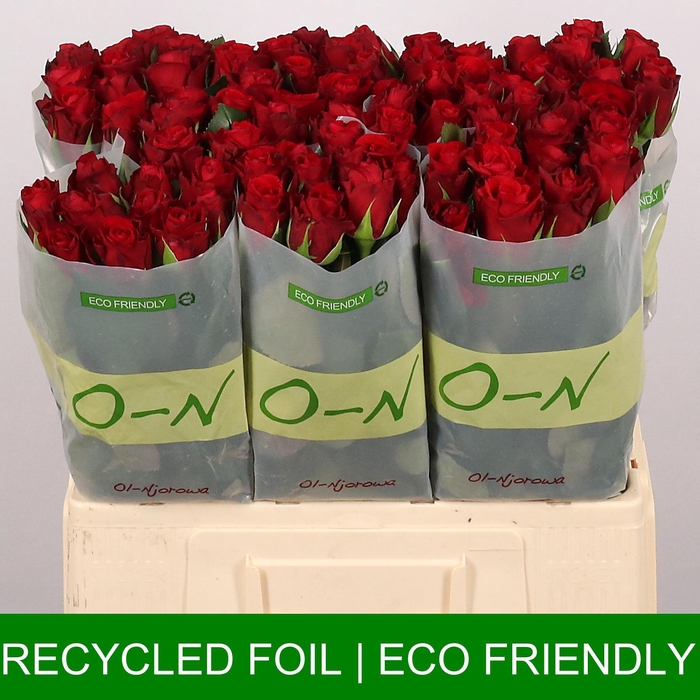 <h4>R GR RED RIBBON</h4>