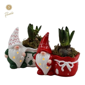 arr4 Hyacint FL - Santa candle light