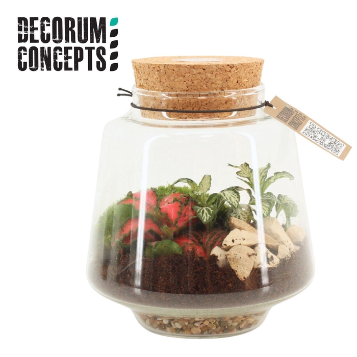 <h4>Terrarium Mercurius Small (Decorum concepts)</h4>