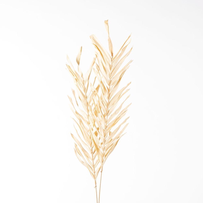 <h4>DF Fireleaves 105cm Cream 8116</h4>