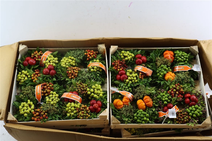<h4>Wr Sierfruit 20cm (melli)</h4>