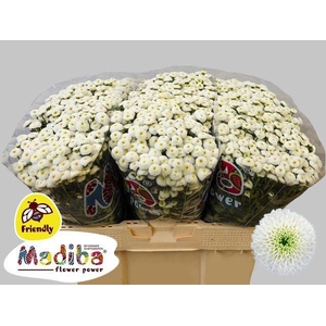 CHR S MAD LUMIE WHIT