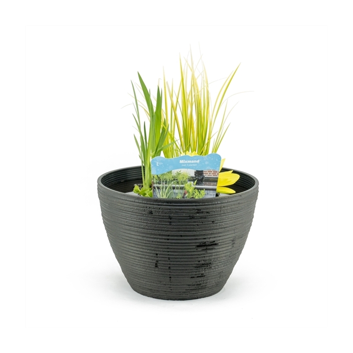<h4>Terrasv de luxe antraciet inc.mand</h4>