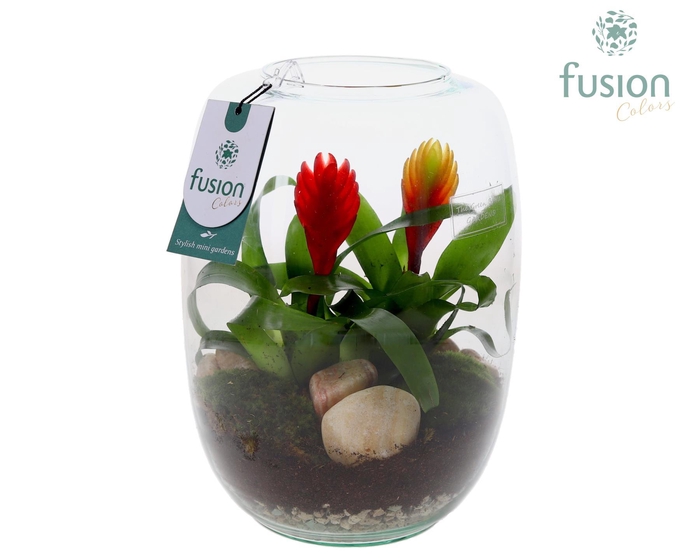 <h4>Green Bottle Isabella Large met Bromelia</h4>