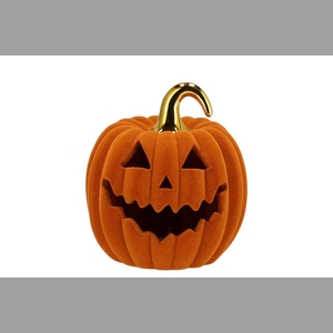 Autumn Flock Scottish Spice Pumpkin Face Led 17x17x21cm Nm