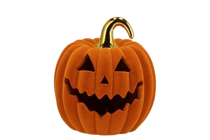 <h4>Autumn Flock Scottish Spice Pumpkin Face Led 17x17x21cm Nm</h4>