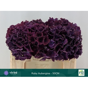 HYDR M MAG RUBYRED P