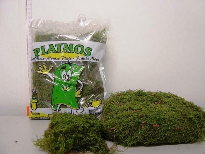 <h4>Mossen   ...H%</h4>