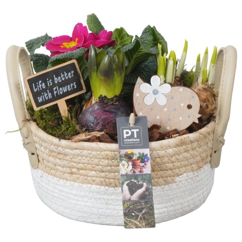 <h4>PTBM3101 Arrangementen Tuinplanten</h4>