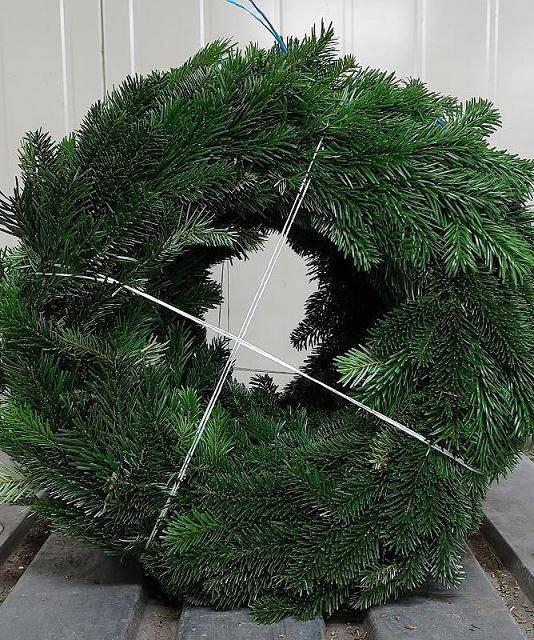 <h4>Nordman Krans</h4>