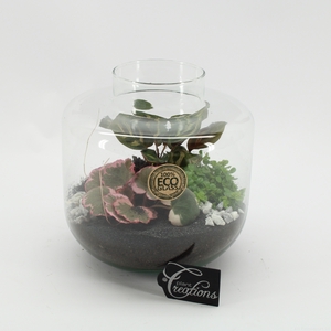 GRCR-2549 Green Essentials terrarium