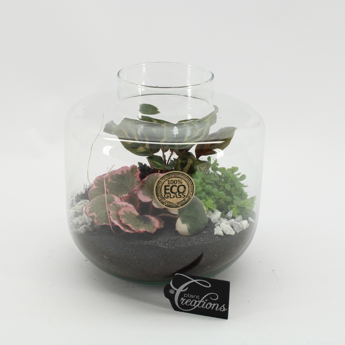 <h4>GRCR-2549 Green Essentials terrarium</h4>