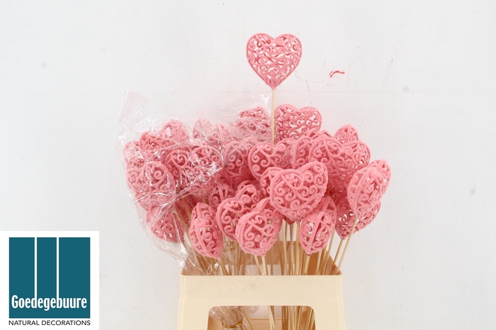 <h4>HARTJE OP STOK H%</h4>