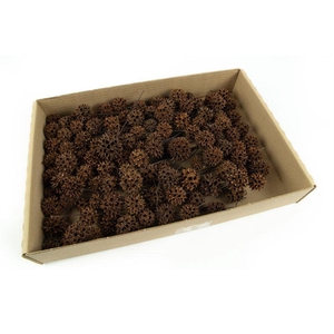 Amberbaum o/dr. Naturel100 st