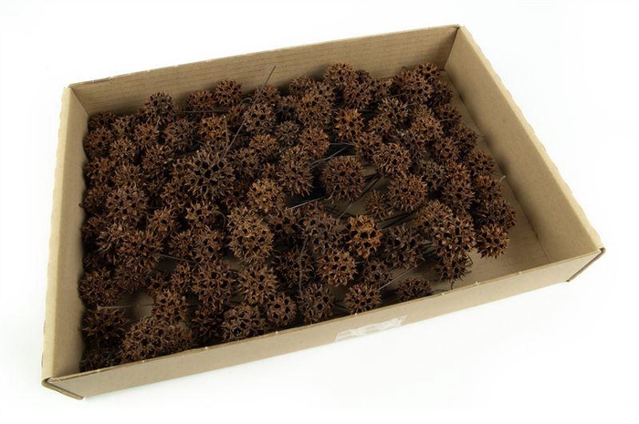 <h4>Amberbaum o/dr. Naturel100 st</h4>