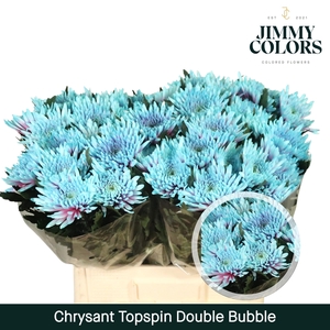 Chr G Topspin Double Bubble