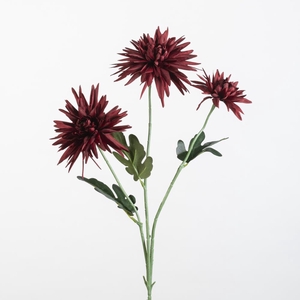 AF Dahlia Spid spr/3 L77cm D.r