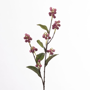 Af Symphoricarpos L71cm D.pink