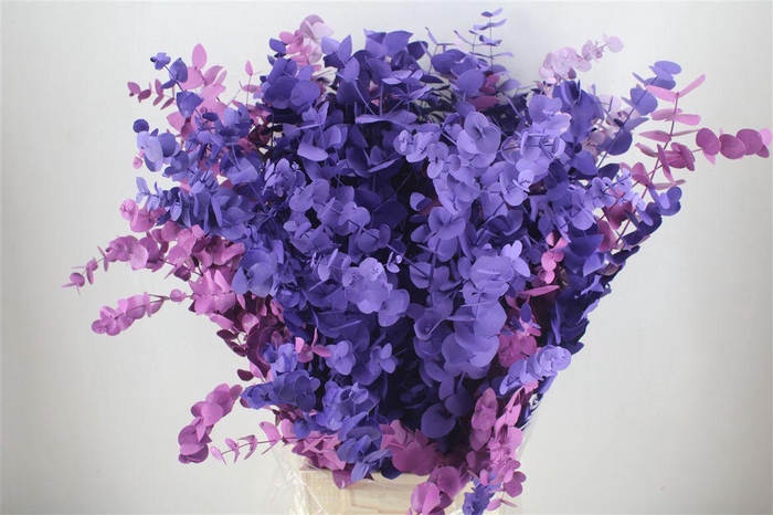<h4>Euca Cinerea Mix Pink P Bunch</h4>